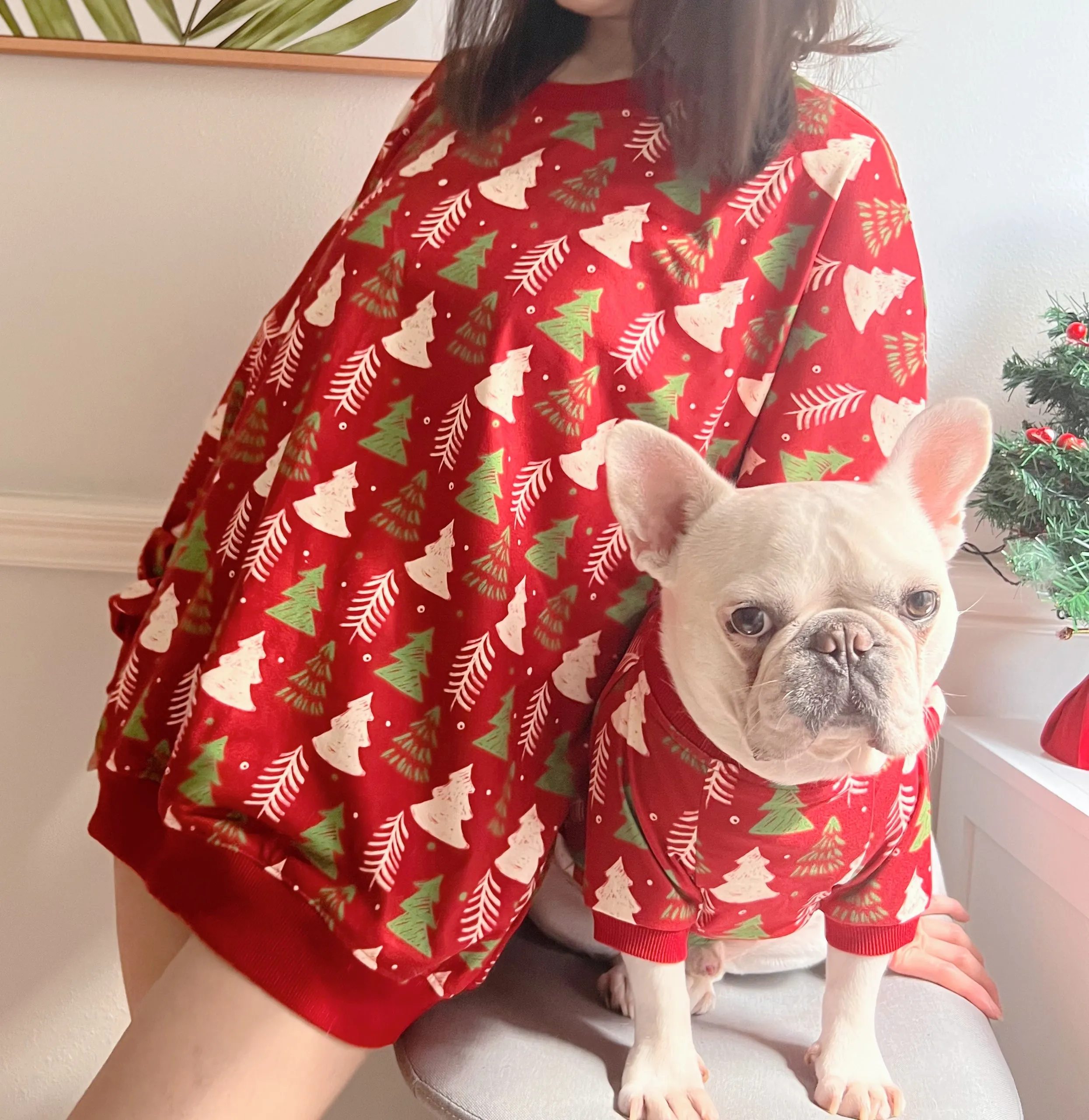 Christmas Holidays in Red Owner and Pet Family Matching Set