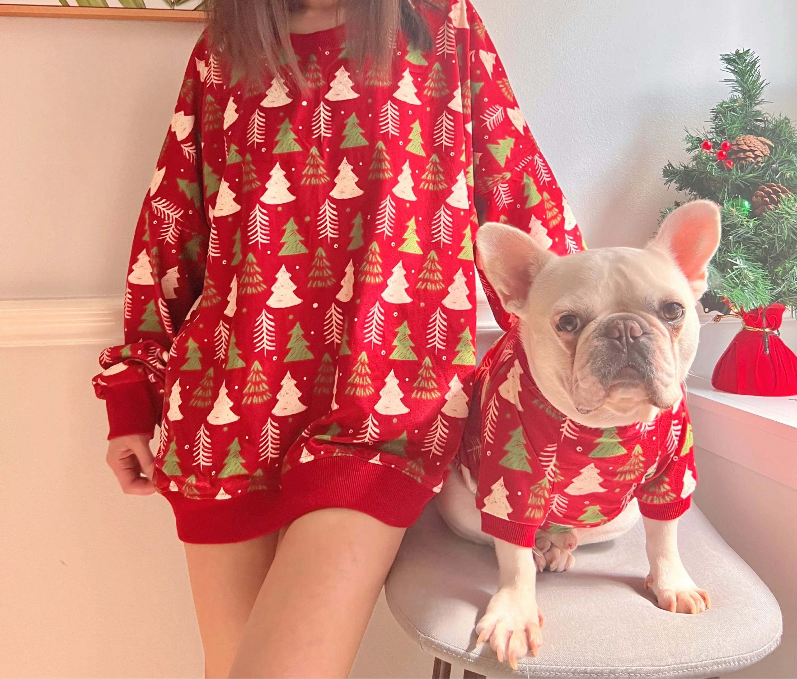 Christmas Holidays in Red Owner and Pet Family Matching Set