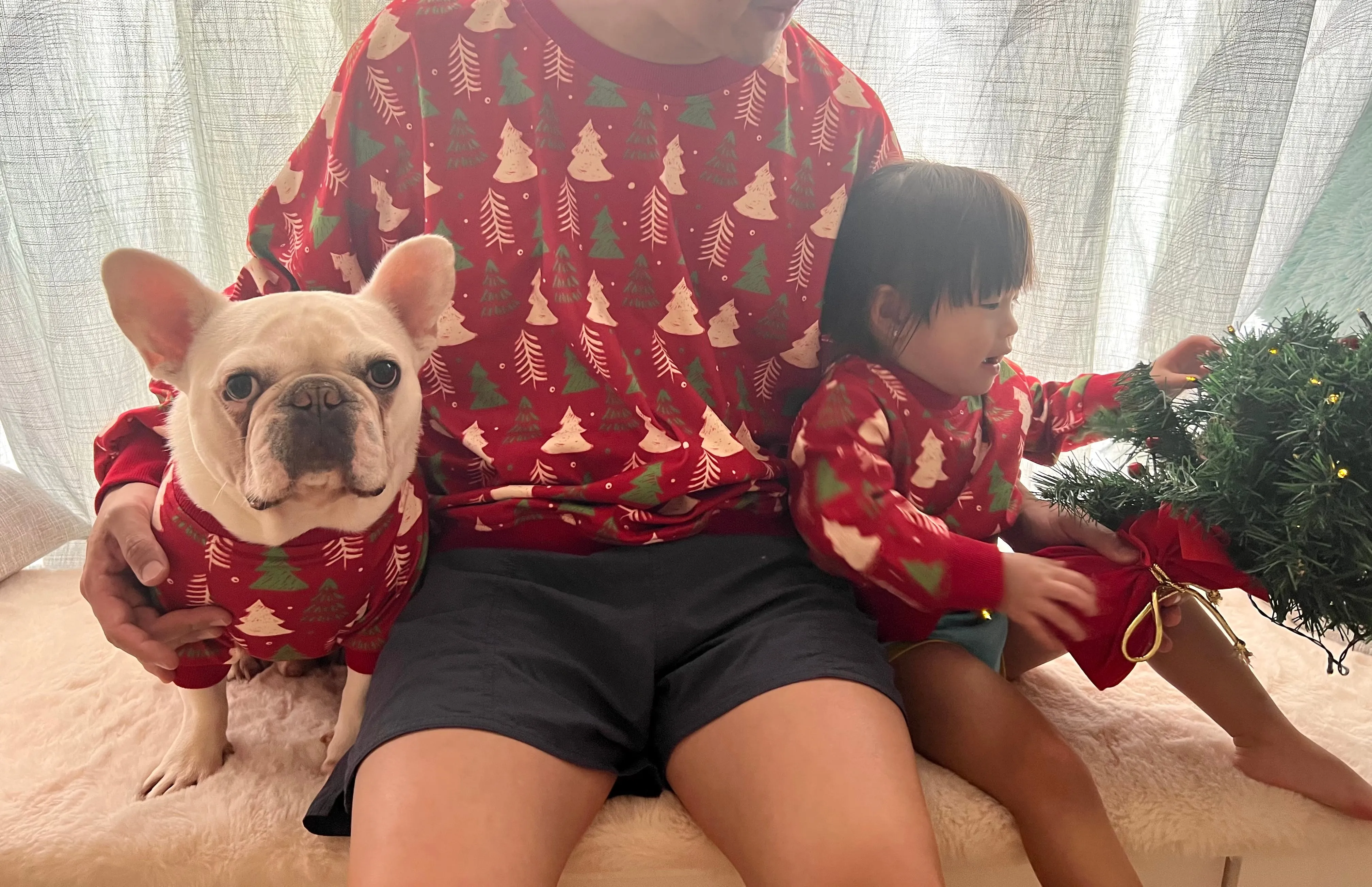 Christmas Holidays in Red Owner and Pet Family Matching Set