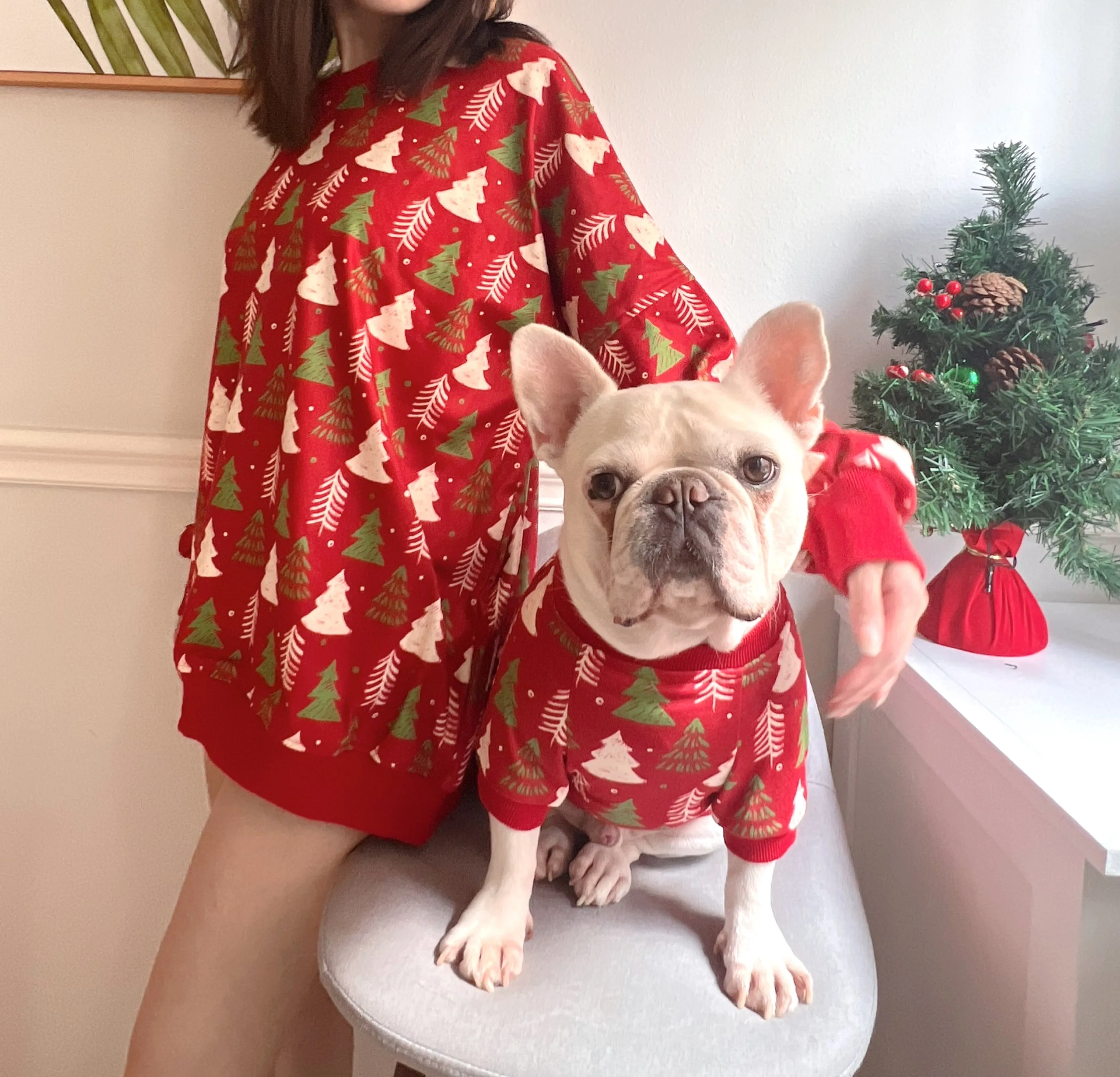 Christmas Holidays in Red Owner and Pet Family Matching Set