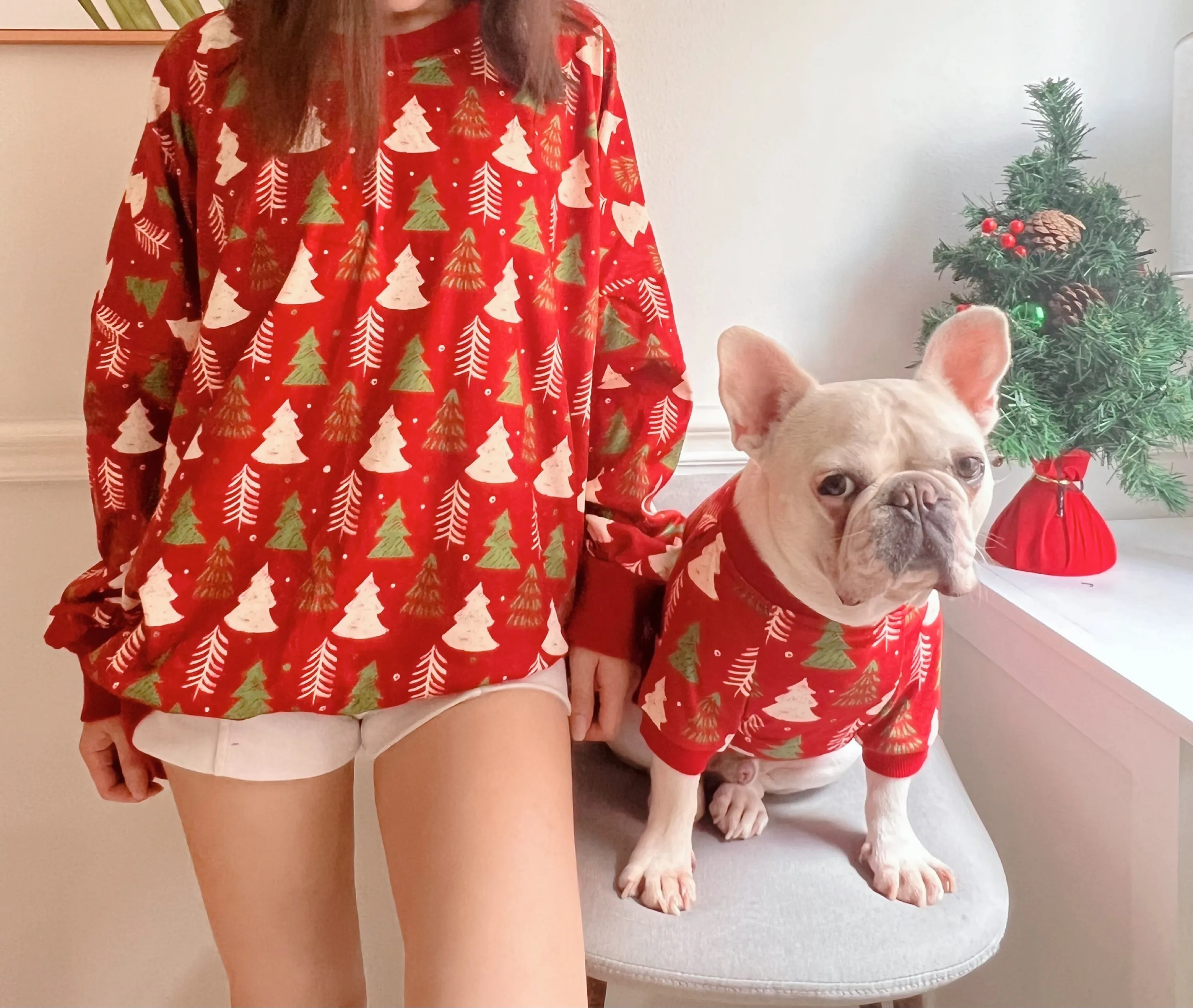 Christmas Holidays in Red Owner and Pet Family Matching Set