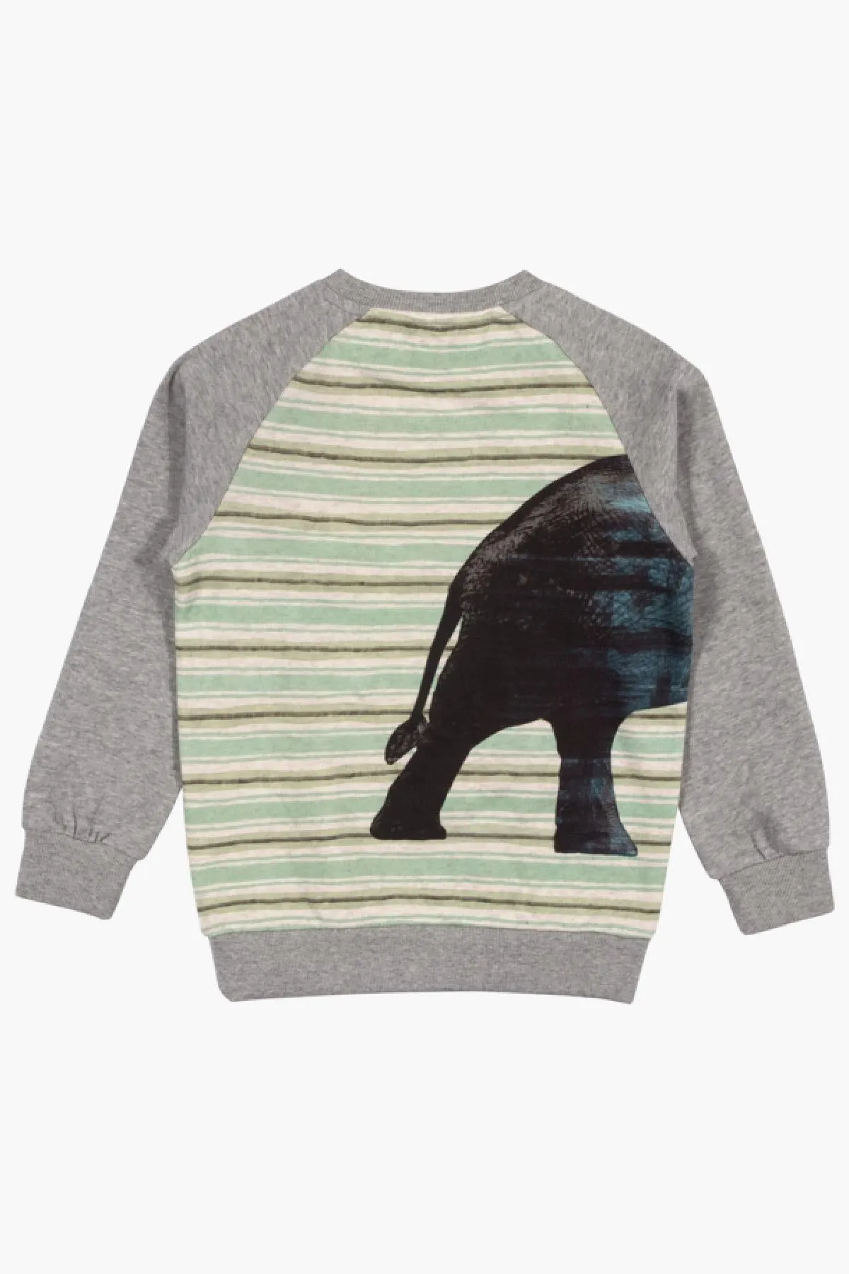 Paper Wings Elephant Boys Sweatshirt