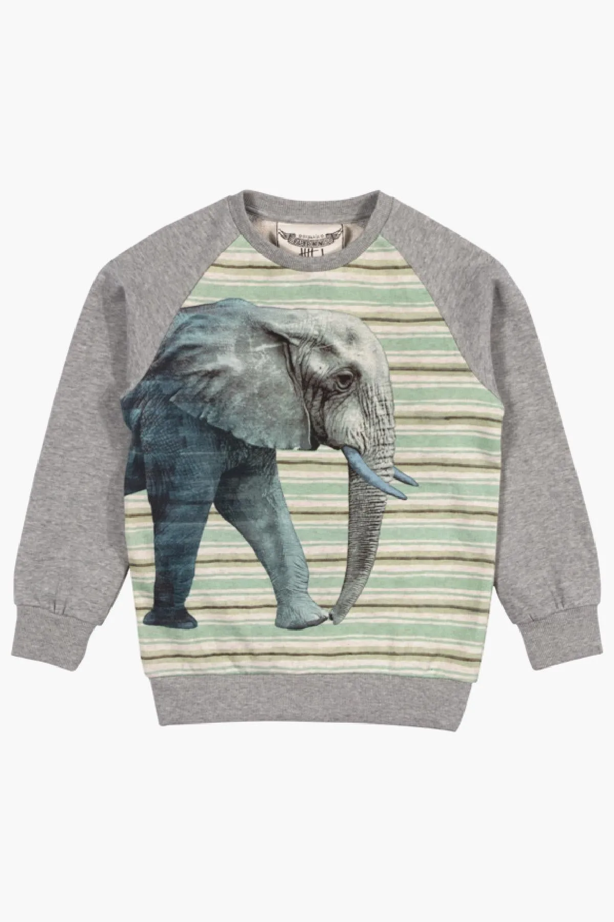 Paper Wings Elephant Boys Sweatshirt